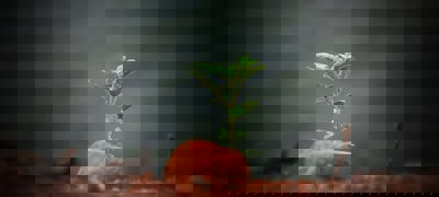 Sushobhan Badhai Lrpkl7joldi Unsplash