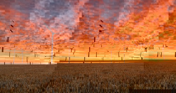 Procurement and environmental sustainability: Accelerating progress by optimising negotiation capability