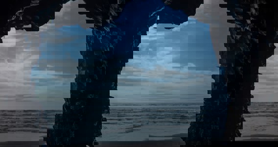 A journey inside the mind of a buyer