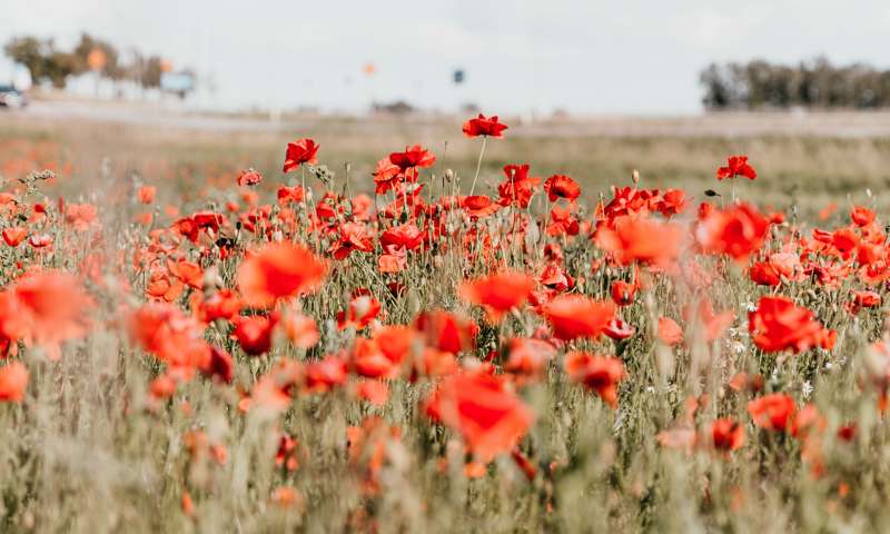 L'arte della guerra e la negoziazione